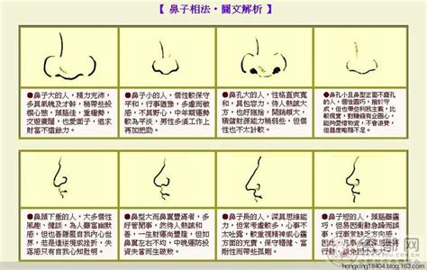 肉鼻子面相|14种鼻型图解 最全鼻子看相解读命运